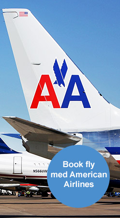 Boka flyg med american airlines